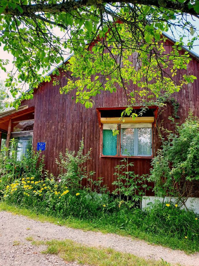 Vrelo Koreničko Draga Koncar Guest House מראה חיצוני תמונה