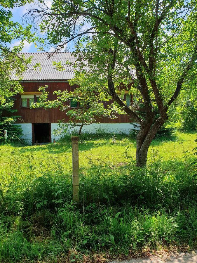 Vrelo Koreničko Draga Koncar Guest House מראה חיצוני תמונה
