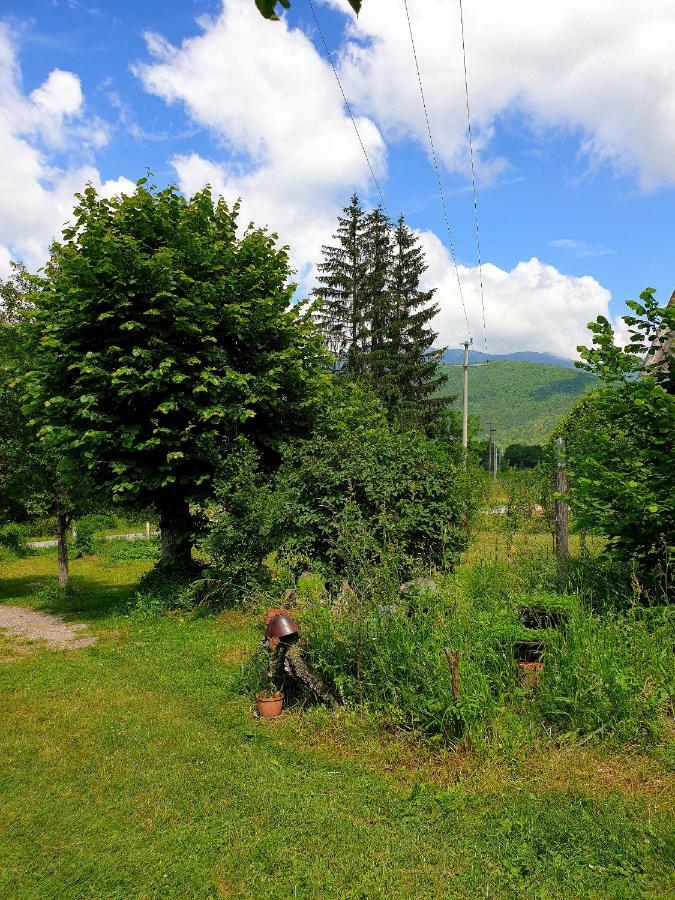 Vrelo Koreničko Draga Koncar Guest House מראה חיצוני תמונה